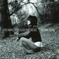 Vienna Teng - Dreaming Through the Noise