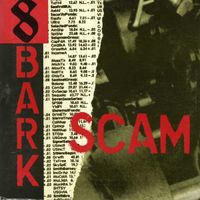 8 Bark - Scam