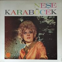 Neşe Karab&ouml;cek - Sensiz Kalan G&ouml;nl&uuml;mde