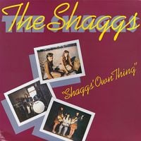 The Shaggs - Shaggs' Own Thing