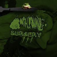 Phyllomedusa - Amphibians Performing Surgery III: Murrexic Behavior