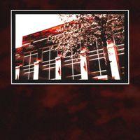 Pollihyla - Utter Distortion