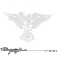 Spiritfall - My Reason