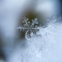 K.Shiraki - Snow World