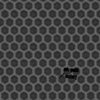 byrd - buzz like a bee