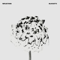Reflections - Silhouette (Instrumental)