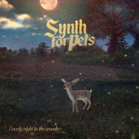Synth For Pets - Lovely night in the Woods