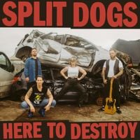 Split Dogs - Here to Destroy