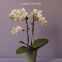 Moon Orchids - Moon Orchids