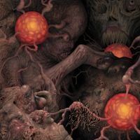Insalubrity - Sheol