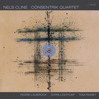 Nels Cline - Down Close