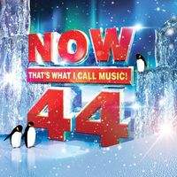 Various Artists - Now That's What I Call Music! 44