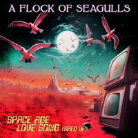 A Flock of Seagulls - Space Age Love Song (Re-Recorded) [Sped Up]