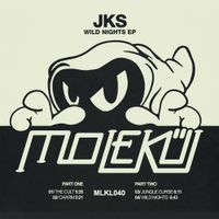 JKS - Wild Nights EP