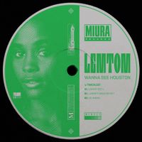 Lemtom - Wanna See Houston