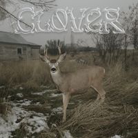 Sleeper&rsquo;s Bell - Clover
