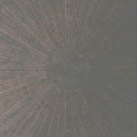 William Basinski + Lawrence English - Selva Oscura