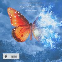 ROY KNOX - Say What You Mean