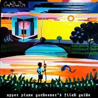Chip The Black Boy - upper plane garDeener's fileD guiDe