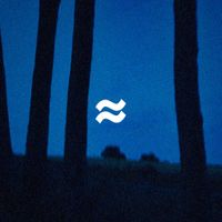 VAGUES - Aux portes de la nuit