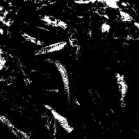 fishtrous - anchovy