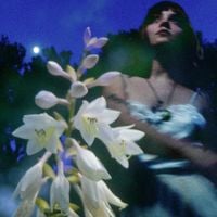 she's green - Graze