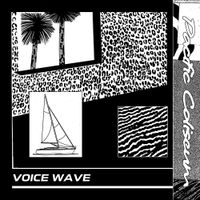 Pacific Coliseum - Voice Wave