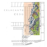 celacanto - Cedo