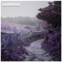 Narrowcast - woven in the wind chimes
