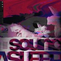 Lisa Chikafuji - SOUND ASLEEP
