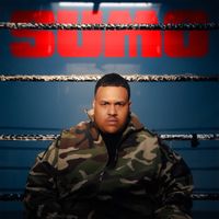 DIKKE - SUMO