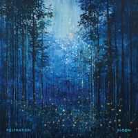 Polynation - Bloom