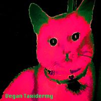 Vegan Taxidermy - Vegan Taxidermy