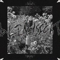 Blindsight - Blindsight