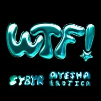 Sybyr - WTF