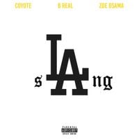 Coyote - sLAng