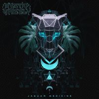 Mystic Grizzly - Jaguar Medicine