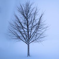 K.Shiraki - Jan 2021
