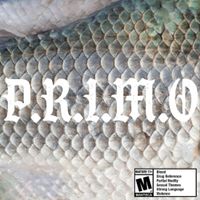 Michaelangelo - P.R.I.M.O