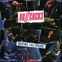 Buzzcocks - Driving You Insane