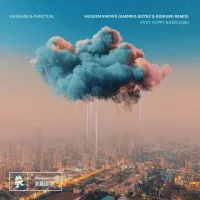 Kaskade - Heaven Knows (Andrea Botez & biskuwi Remix)