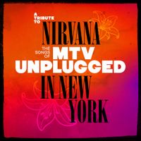 Various Artists - A Tribute to Nirvana, The Songs of MTV Unplugged in New York