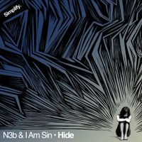 N3b - Hide