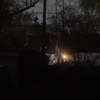 leverfall - To Be Seen