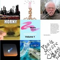 PENIS MUSIC COLLECTIVE - PENIS MUSIC COLLECTIVE COMPILATION VOL. 1