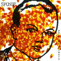 Sponge - Rotting Pi&ntilde;ata
