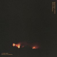 Citizen Maze - Serenity In The Woods