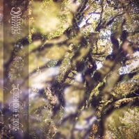Lachlan R. Dale - Shrines