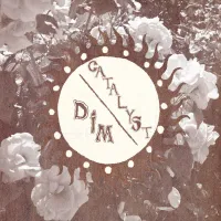 Catalyst... - dim/catalyst split