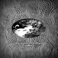 Silver Rocket - Electronics for Dogs